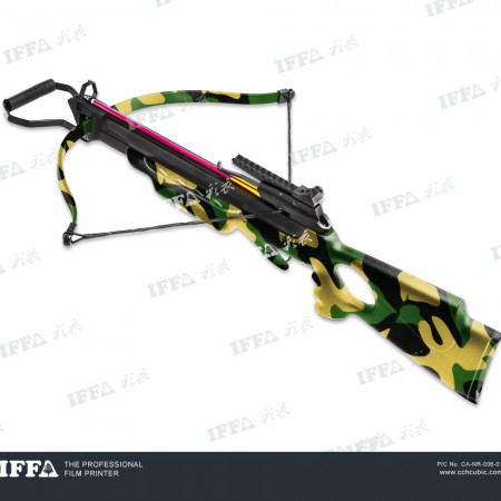 CCA-NR-006-01-sample