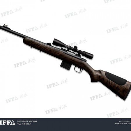 CW-172-sample-1000x950